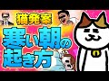 【うちの猫アニメ】寒い朝に布団から出られない猫のアニメ | ナミちゃんとミーコさん