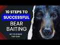 10 tips for bear baiting  how to bait bears