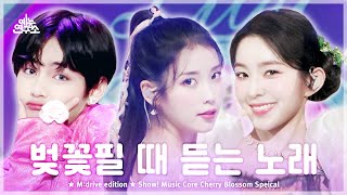 Cherry Blossom.zip 📂 Show! Music Core Cherry Blossom Special Compilation