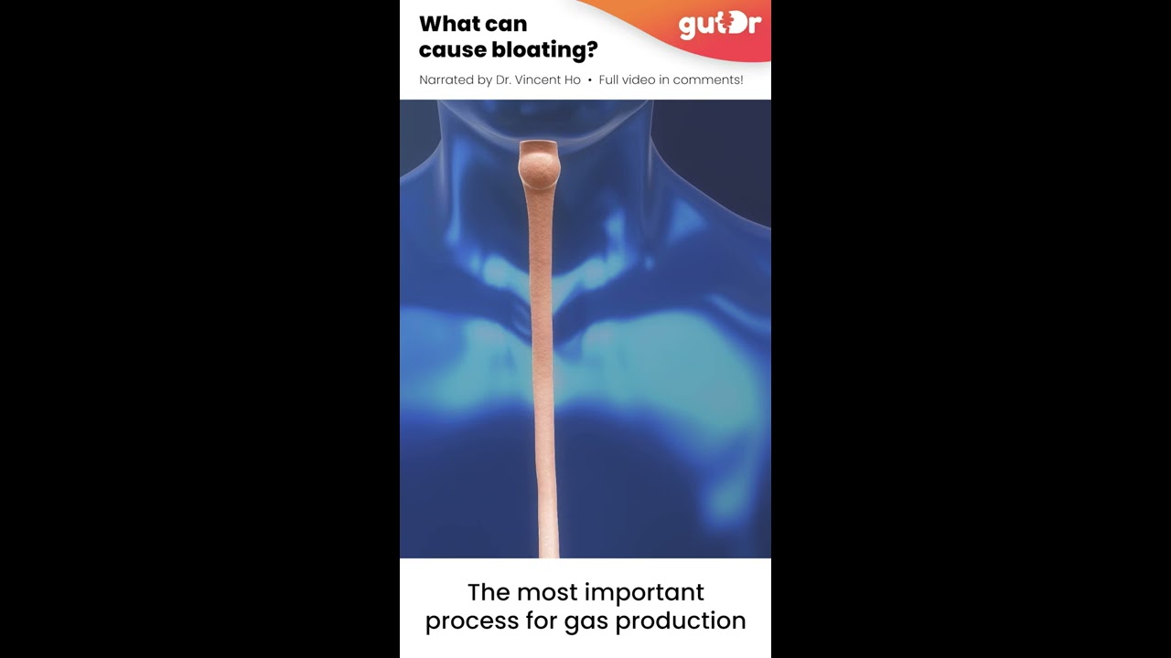 What Causes Bloating Explained In 3D Shorts