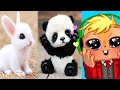 The CUTEST YouTube Shorts That Will Make You Say Awwwww…