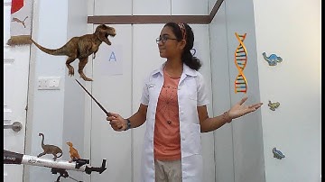 Reverse Engineering DNA II Can we bring back the dinosaurs? II Breakthrough Junior Challenge 2021