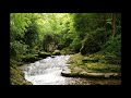 Relaxation guide musique nature rivire    keep calm relaxation music