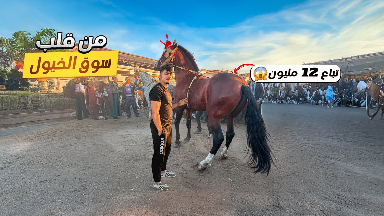 فيديو جديد 🌞اليوم قمنا برحلة إلى سوق الخيول 🐴أجواء رائعة 🤩وخيول متنوعة 😍