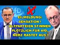 EIL: Altparteien stimmen FÜR AfD! Merz TOBT!