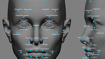 License Plates and facial recognition Avigilon