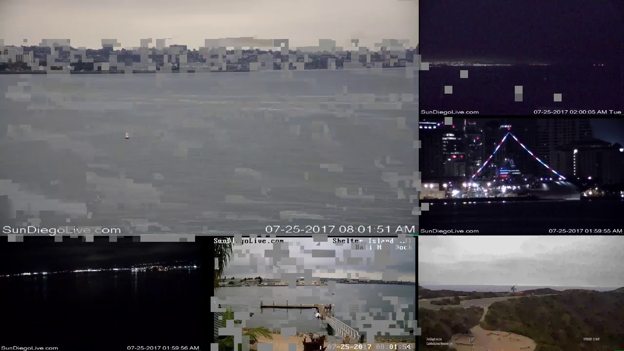 Winter Watch 2025 Live Cameras San Diego Tami Eustacia