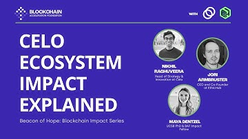 Celo Ecosystem Impact Explained