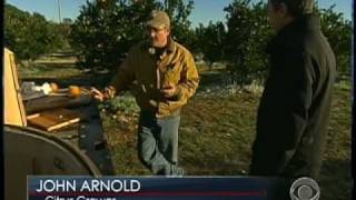 The Fight to Save Cold Crops