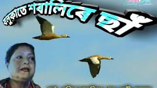 Assamese song of manisha hazarika /lyrics by hemanta dutta /melody
jonny joshef.