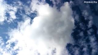 【白噪音】\ 【白噪音】\