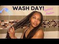 Updated Loc Wash Day Routine for Long & Thick Locs | Tips & Tricks Included! | With Fine Curly Hair