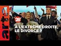 Le rn divorce de lafd  des extrmes droites irrconciliables en europe   28 minutes  arte