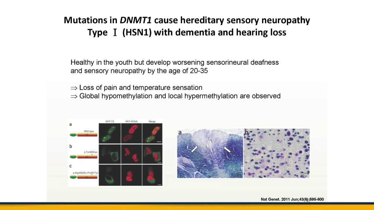 Emerging Roles of Epigenetics in  Development, Cancer, and Disease  (Chinese version)