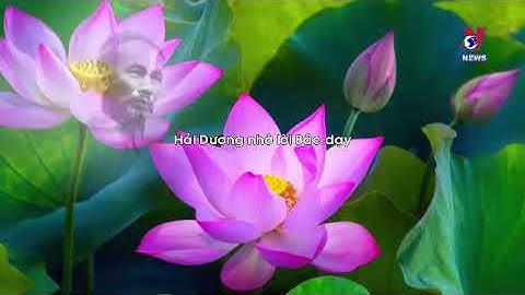 Bác Hồ với Hải Dương | Học tập và làm theo Bác