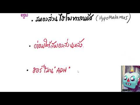 การควบคุมสมดุลน้ำในร่างกาย : สมองส่วนไฮโพทาลามัส (hypothalamus)