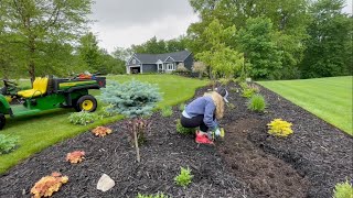 Planting Zinnias, Cleome & Snapdragons My Sister Grew Me From Seed. In The Lane & The Gully Gardens