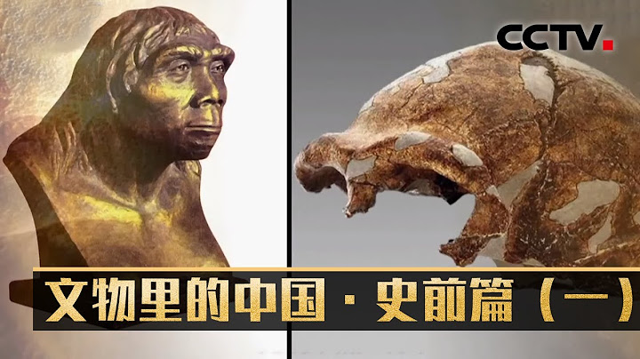万年的“石头”千年的“罐” 从国博看文物里的中国！ 文物里的中国·史前篇（一）20210627 |《考古公开课》CCTV科教 - 天天要闻