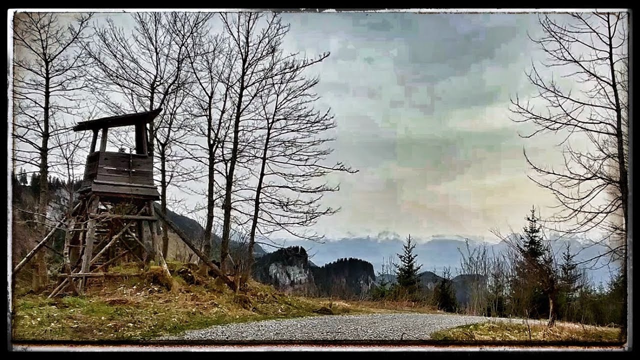 8 Hours of Nothing | Silent Nature | Soft Wind Gentle Wind 8 | Quiet ...