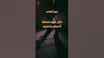 إِنَّ الَّذِينَ قَالُوا رَبُّنَا اللَّهُ || سورة فصلت || علي جابر