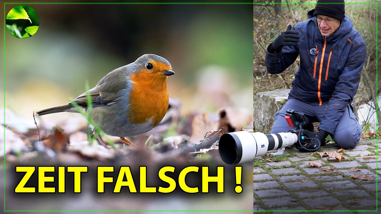 Diesen Wildlife Verschlusszeit Trick sollte JEDER kennen ❗️