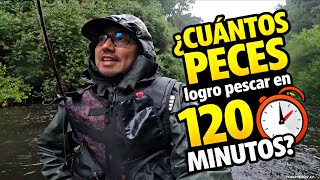 Pesca en Chile, Cuántos PECES logro PESCAR en tan SOLO 120 MINUTOS en un día de LLUVIA / Flandesman.