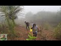 A CAATINGA É ASSIM E VOCÊ NÃO SABIA. RELAXE COM MUITAS AVES CANTANDO E IMAGENS DE TIRAR O FÔLEGO