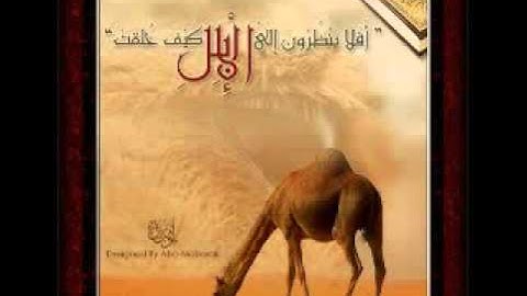 محمد البراك   سورة الغاشيه كامله