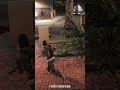 Epic Gaming Fail 😂🤯 #furiousfade #gtarp #fivem #nopixel #gta5rp