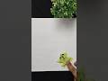 colour paper Frog #like #subscribe