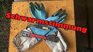 Schwarmstimmung ! Imkern ! Bienen !
