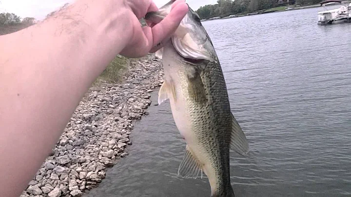 Finesse Jig Fishing/Kevin Bullington