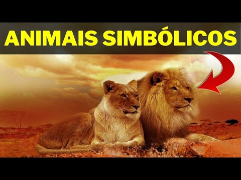 Vídeo: Qual o nosso animal nacional?