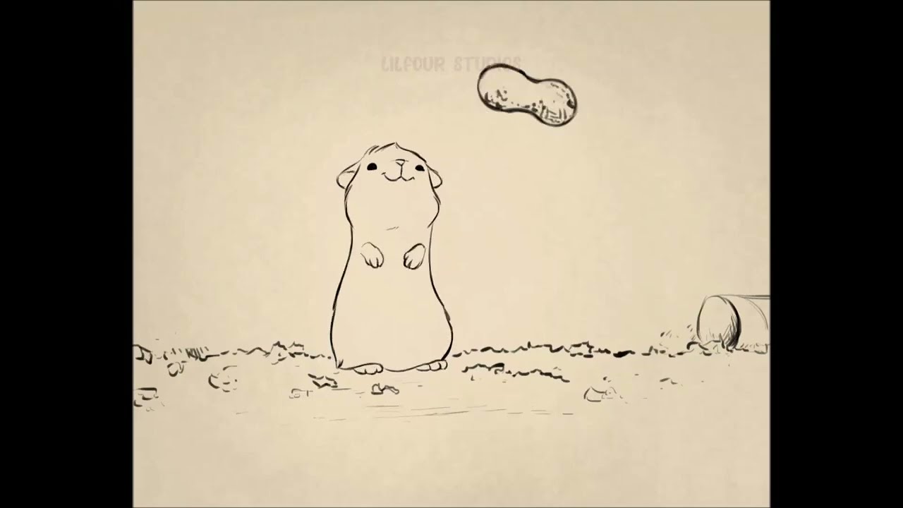 'Stuff' - Short Hamster Animation Cute Animal 2D