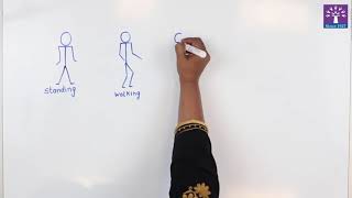 Activity 7 - Stick Figures