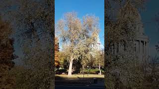 Denver Capitol 11-5-23 3:57 PM