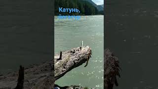 Йога тур Аскат#алтай #йогатур #катунь #горы #река