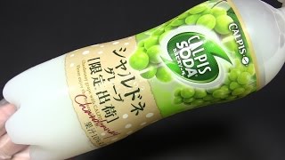 カルピスソーダ シャルドネグレープ 500ml