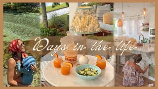 August Days...🍑 Visiting The Springs, Stencil Art Painting, & Harvesting Sweet Potatoes!