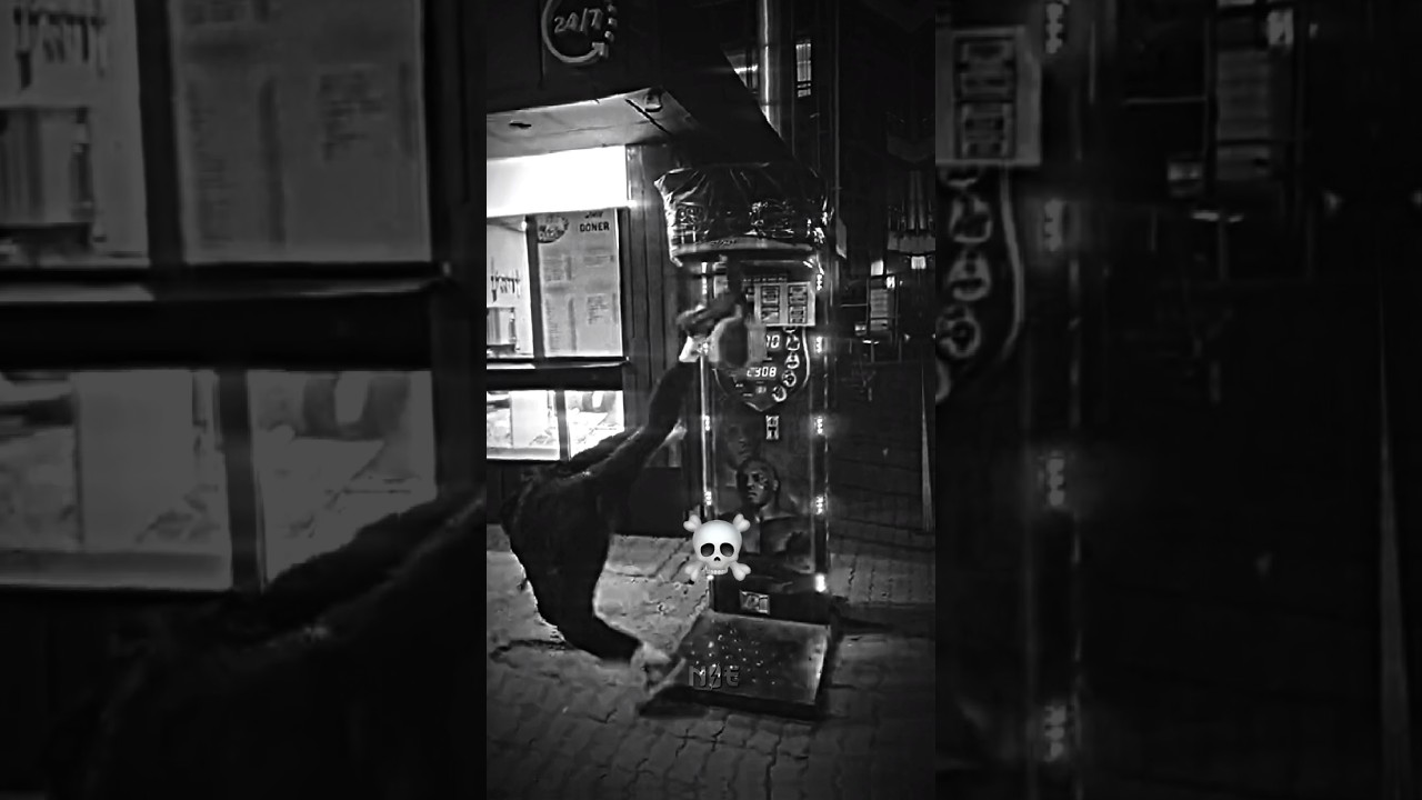 Part 20 | The last one ☠️ 