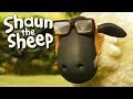 Sheep Farmer | Shaun the Sheep Season 5 | Full Episode