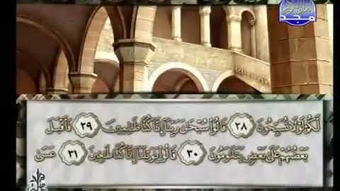 سورة القلم 68 - 114 محمد أيوب - قناة المجد للقرآن الكريم