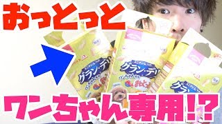 ワンちゃん専用のおっとっと食べてみた！！