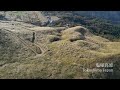 【徳島県三好市】黄金色に輝く秋の絶景/塩塚高原　Shiozuka Highlands: Stunning golden autumn scenery