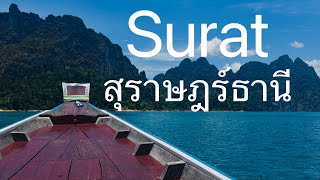 ไปเที่ยวสุราษฎร์ธานี #สุราษฎร์ #เขื่อนรัชชประภา #ป่าต้นน้ำ #ติ่มซำ #surat #thailand