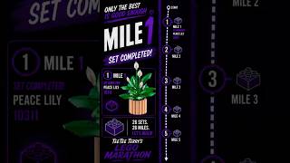 TeeTee Terry’s LEGO Marathon: Mile 1 #TeeTeeTerrysLEGOMarathon #OnlyTheBestIsGoodEnough #LEGO