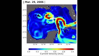 Numerical models shed light on the movement of young leatherback turtles during their critical years