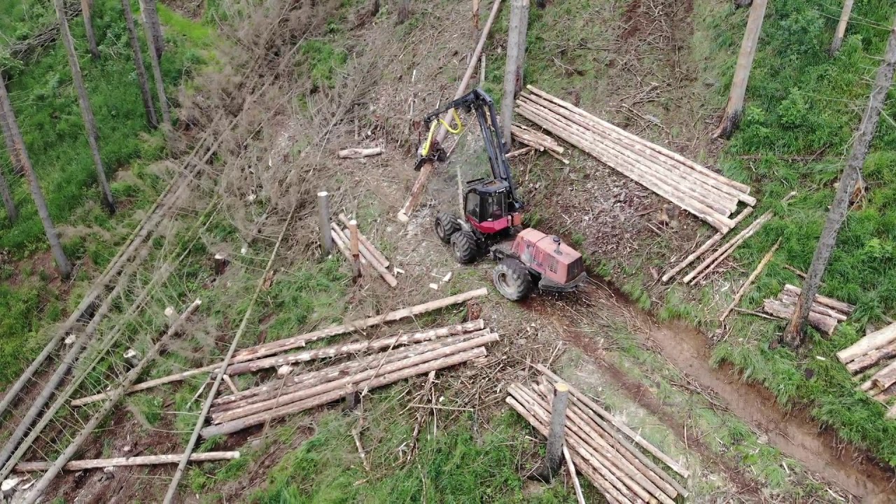 Valmet 911.3 head 365 and stihl 461 on the hill