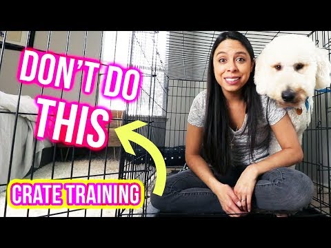 crate-training-tips:-what-not-to-do-//-how-to-crate-train-a-puppy