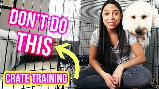 CRATE TRAINING TIPS: What NOT to do // How to Crate Train a Puppy